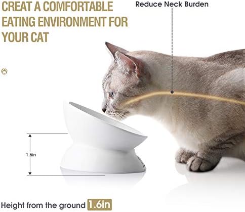SWEEJAR keramičke podignute posude za mačke, kose posude za jelo za mačke ili posude za vodu,