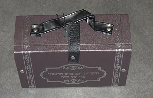 Prikupljanje trendova Judaica Brown Pleather Etrog Box torbica Sukkot Silver Levitus Verse
