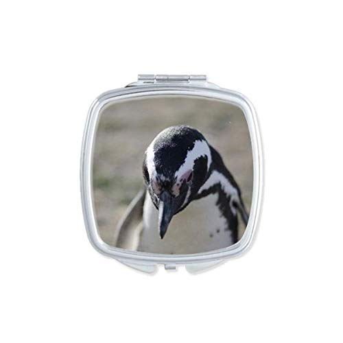 Slatki Pingvini Nauka Priroda Ogledalo Za Slike Prenosivi Kompaktni Džepni Makeup Dvostrano Staklo