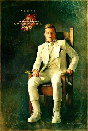 World Mall Group The Hunger Games Catching Fire 12x18 Movies Poster-Jennifer Lawrence, Josh Hutcherson,