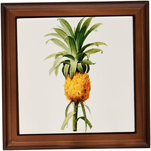 3dRose ft_106859_1 Redoute Vintage akvarel voće ananas Bromelia Ananas uokvirena pločica, 8 by 8