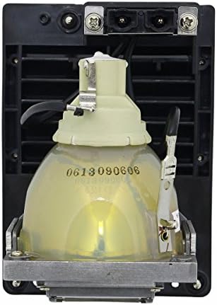Aurabeam profesionalna zamjenska lampa za zamjenu za Eiki AH-CD30101 sa kućištem