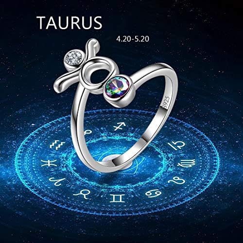 Zodijački znak ogrlica 925 Srebra 12 Constellation privjesak & prstenovi Horoskop Astrologija nakit Kristal