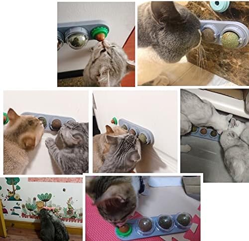 Zzjbgs mačka munt ball igračke za mačke, 4 pakete, igračke za lizanje mačaka, mače žvakaće igračke, čišćenje zuba Mačke igračke, CAT zidne grickalice