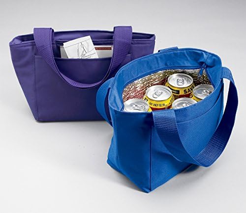 Caroline's Treasures LH9361BU - 8808 plava torba za ručak od svilenog terijera, izolovana kutija za ručak za višekratnu upotrebu za kancelarijski posao Školska plaža,