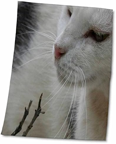 3Droza Whisker Trail - Crno-bijela mačka, mačka, mačke, slatka, kućni ljubimac. - Ručnici