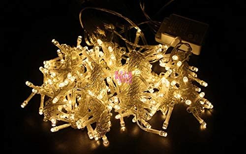 Quenny Božićna žičana svjetla, svjetla za vjenčanje 3 m 3 m 300 glava 110V / 220V svjetla za prazničnu