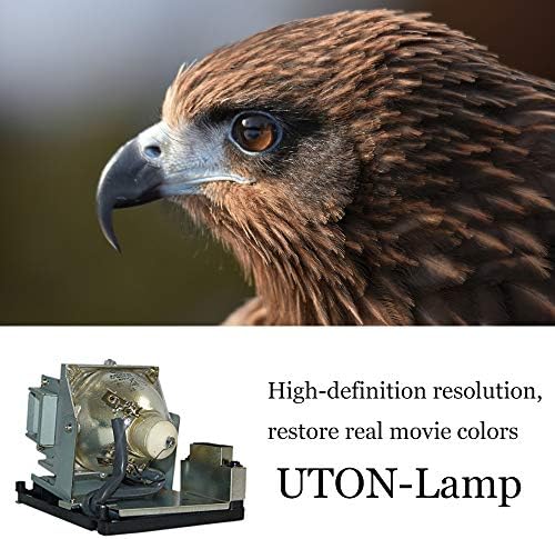 Uton 5811116701-SVV Zamjenska svjetiljka za projektor sa kućištem za vivitek D963HD D965 projektor