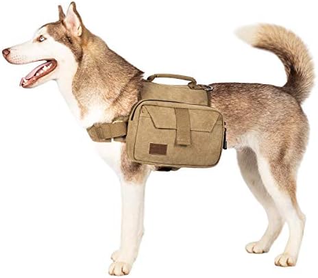 Onetigris paket pasa i ovratnik za pse za planinarenje kampiranja