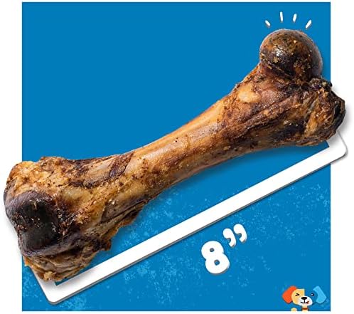 Jack & Pup Bundle - 11 Shin Bones + svinjski femurski kosti | 11 Shin Bones | 8 svinjske femurne kosti