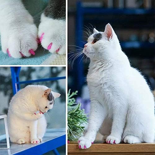 VICTHY 100kom Cat kape za nokte, šarene kućne ljubimce Mačke meke kandže navlake za nokte za mačke kandže sa ljepilom i aplikatorima srednji