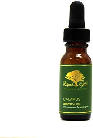 0,6 oz sa staklenim kapljicama Premium Calamus esencijalno ulje tečno zlato čista organska prirodna aromaterapija