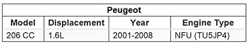 Piolosd 1444-PT zračni filter, Fit za Peugeot 206 CC 1.6L 2001 2002 2003 2004 2005 2006 2007 2008