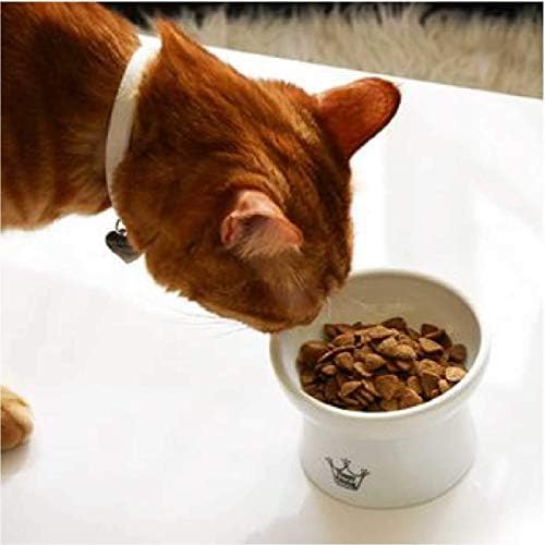 Necoichi podigao stres Besplatno posuda za hranu za mačku, uzdignute, prevenciju povratka, perilica posuđa