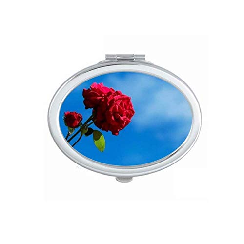 Plavo Nebo Crvene Ruže Zeleno Lišće Ogledalo Prenosivi Preklopni Ručni Makeup Dvostruke Strane Naočare