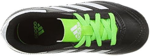 adidas Unisex-fudbalske cipele za odrasle Ace 16.4 FxG J