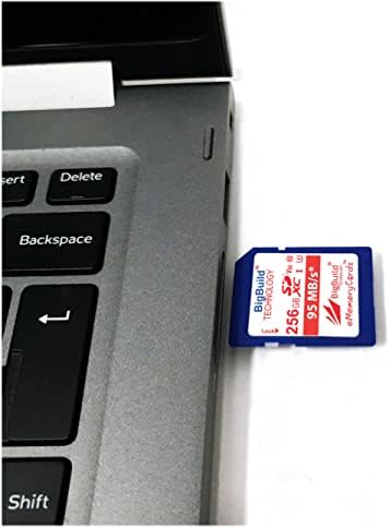 BigBuild tehnologija 256GB Ultra Fast U3 SDXC 95MB / s memorijska kartica kompatibilna sa Ricoh GR II,