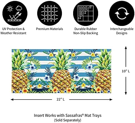 Zimzelene Sassafras pruge i Proljetni ananas izmjenjivi ulazni otirač | unutarnji i vanjski