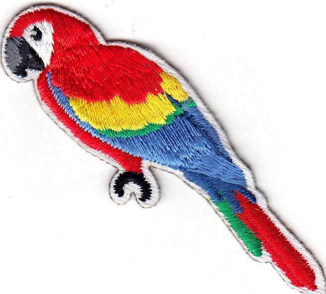 Parrot glačalo na patch tropskim pticama
