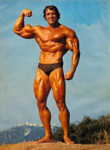 Zidni dekor Master Arnold Schwarzenegger Bodybuilder Olympia Univerzum Conquer klasični sportski