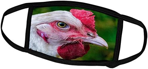 3drose Sven Herkenrath životinja-pogled izbliza na fotografiju životinja sa farme pilića-maske za lice