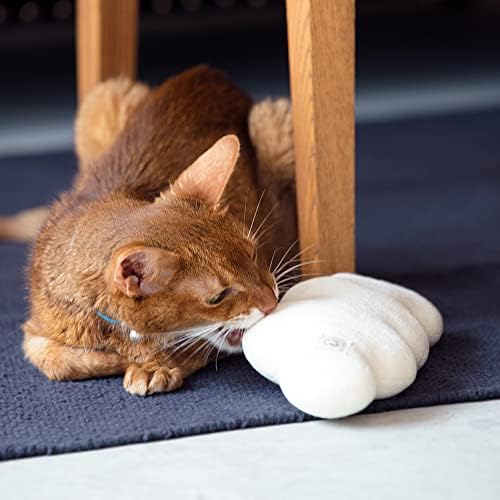 NecOno Cat Plish igračka - izgled nebeskog organskog katnih