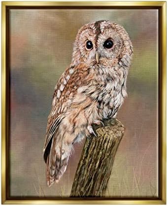 Stupell Industries Brown Tawny Owl Sede Zamršene Woodland Wildlife Slika Plutajući Uokvireni Zid Art, Dizajn