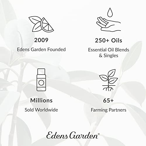 Edens Garden Lime-ključ esencijalno ulje, čist terapijski razred 10 ml