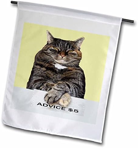 3drose Sandy Mertens Cat Designs-smiješni Savjeti mačka izgleda u zraku mrzovoljni Meme-zastave