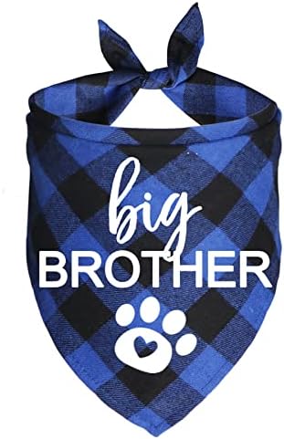 JOTFA Big Brother pas Bandana, karirana trudnoća najava pas bandane za pse