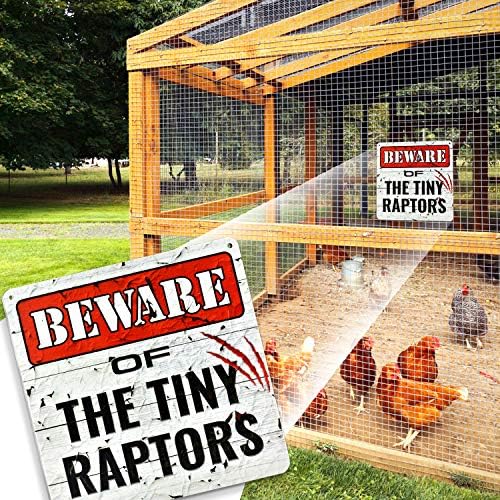 Bigtime znakovi Tiny Raptors Chicken Decor 12 x12 - Božićni ukrasi za pileće Dvorište pileće igračke