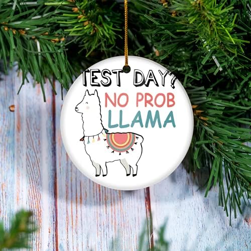 Co-vid Božićni Ornament - dan testiranja Prob Llama matematički Ornament - Ornament kruga, personalizovani