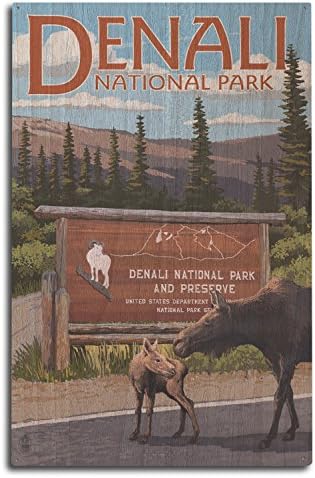 Nacionalni Park Denali, Aljaska, Ulaz U Park Zidni Znak Od Brezovog Drveta