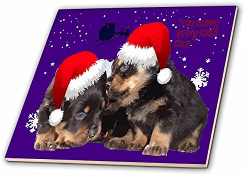 3dRose Taiche-vektorska Umjetnost-Božićno štene-štene prvi Božić - pločice