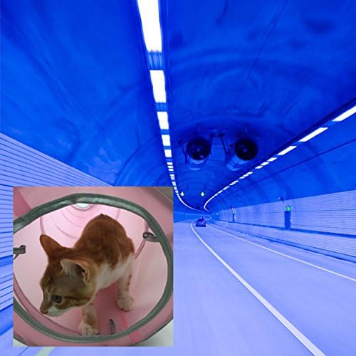 2-putni tunel za mačke pet cijev za igru-sklopivi tunel za male kućne ljubimce /Mačke / Kitty /psića /zeca