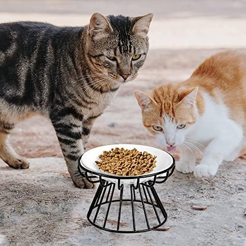 Ploča prilagođena mačkama protiv povraćanja, uzdignuta posuda za uzdignutu keramičke mačke, hrana