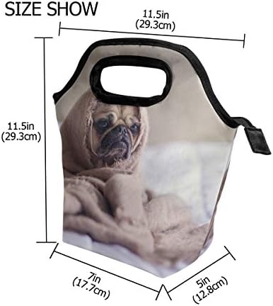 HEOEH Mops pas u jorgan torbi za ručak Cooler Tote Bag izolovana kutija za ručak sa patentnim