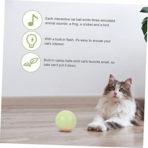 Ipetboom igračka muzička mačičana interaktivna teaser mačka igra sjaj samo u zatvorenom zadirkivanju škripavci užarenim prenosnim zvucima električno zanimljivo cvrkutanje smiješno kućno kućno životinje Catnip