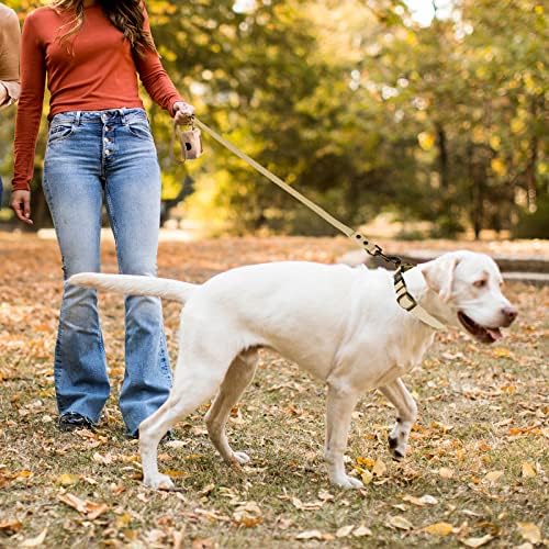 Wedeog ovratnik za pse i povodac kombinirani: podesivi trajni ovratnici za kućne ljubimce sa povodcem za pse