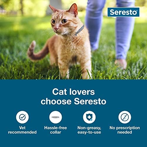 Seresto Cat Vet-preporučeni tretman protiv buva i krpelja i preventivni ovratnik za mačke / 8 mjeseci zaštite